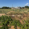 Parcela de 2.000 m2 en Venta Tocino con 4 escrituras independientes