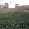 El puerto, Finca para promoción